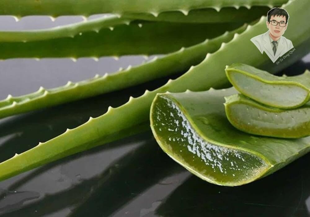 "Nha đam - Bí quyết tự nhiên giảm tụt nướu hiệu quả ngay tại nhà!" Hình ảnh lá nha đam tươi, với phần gel bên trong được làm rõ nét, thể hiện nguyên liệu tự nhiên có công dụng hỗ trợ điều trị và làm dịu nướu bị tụt, viêm nướu hiệu quả.